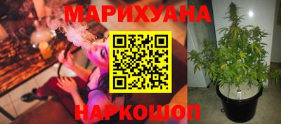 спайс Будённовск