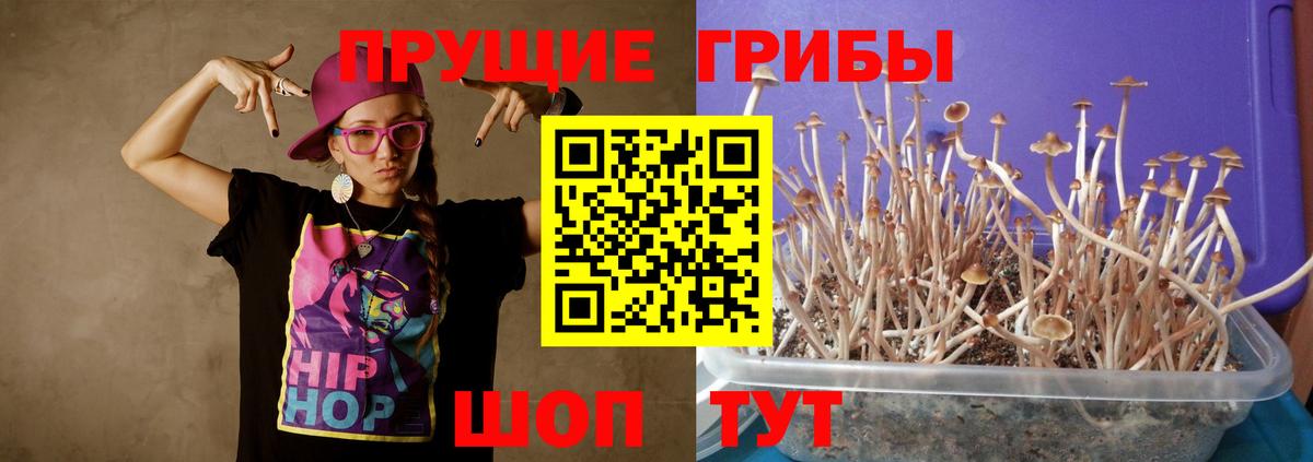 Прокопьевск  Псилоцибиновые грибы ЛСД  Вход с VPN 